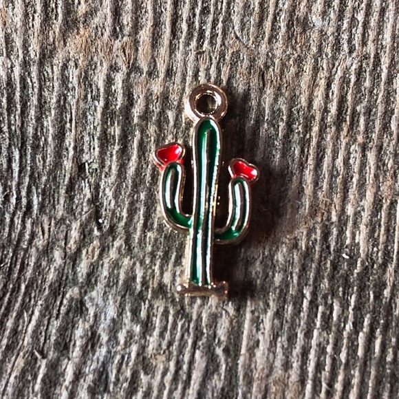 Jewelry - 🔥HOT SALE🔥 Gold Plated Enamel Charm